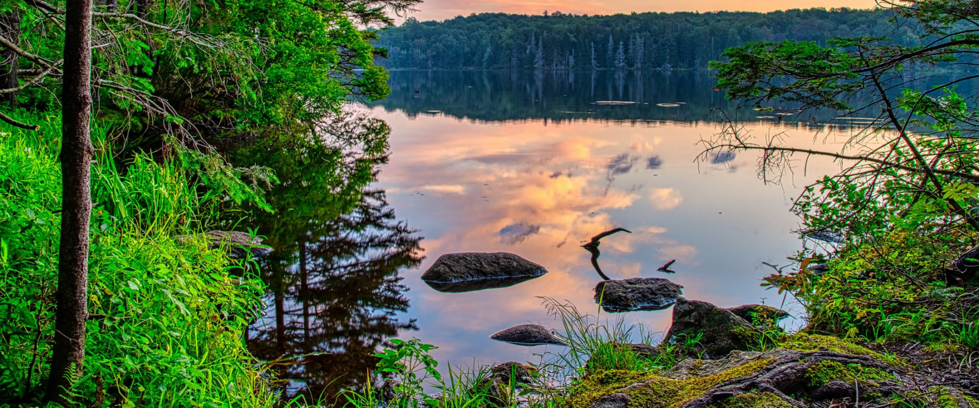 Exploring the Natural Wonders of Northeastern North Carolina