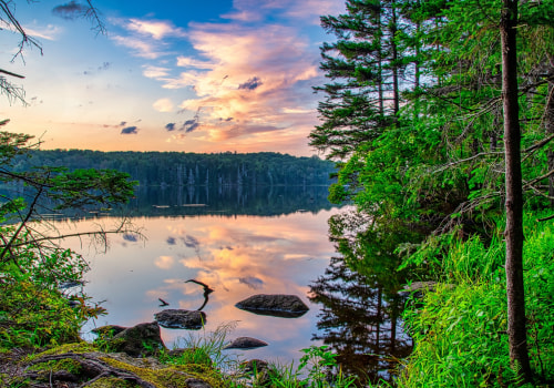 Exploring the Natural Wonders of Northeastern North Carolina